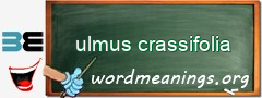 WordMeaning blackboard for ulmus crassifolia